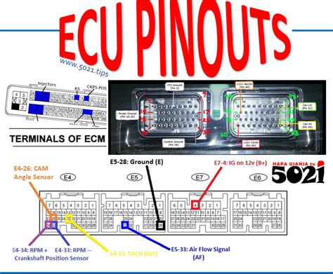 4E-FE <strong>ECU pinout</strong>. . Alh ecu wiring